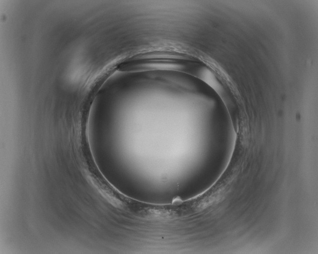 X0000083060442200702021247
