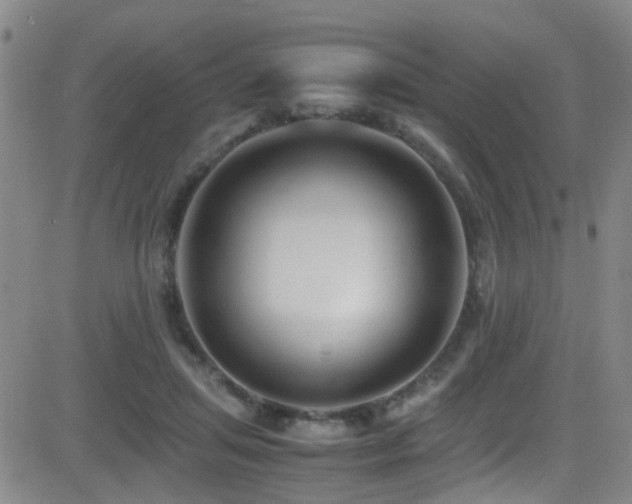 X0000083060455200702021247