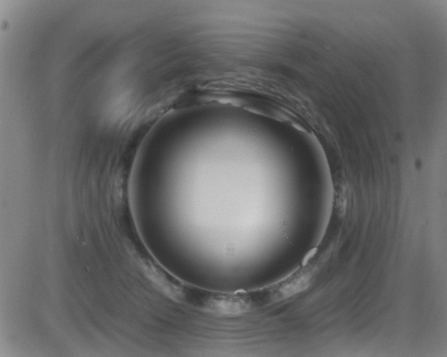 X0000083060466200702021248