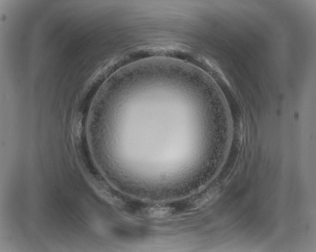X0000083060495200702021247