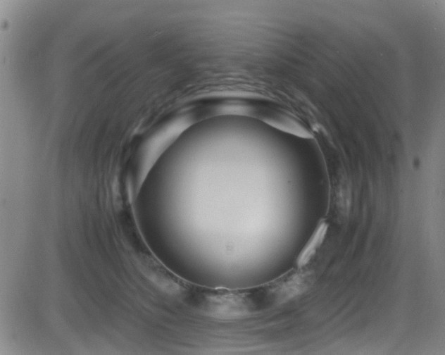 X0000083060516200702021247