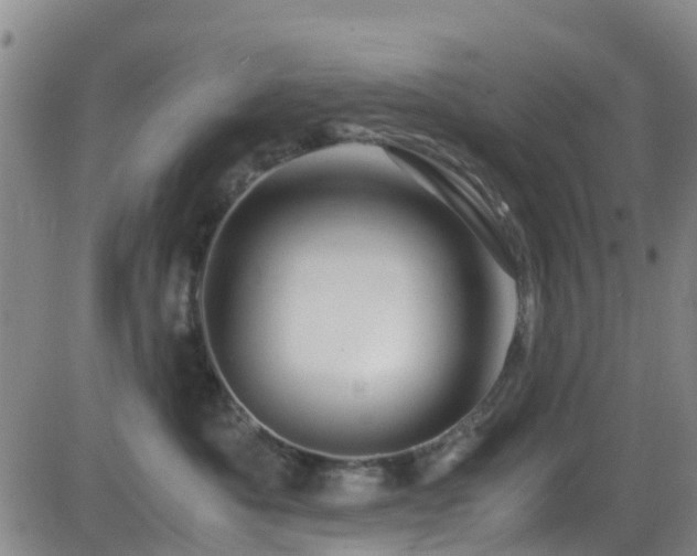 X0000083060525200702021246