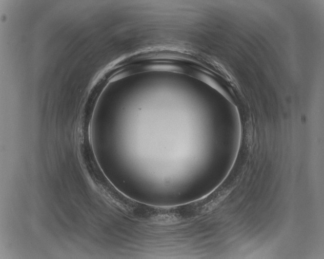 X0000083060536200702021246