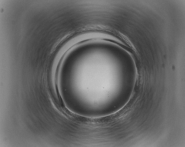 X0000083060538200702021246