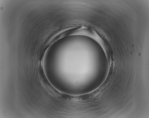 X0000083060546200702021246