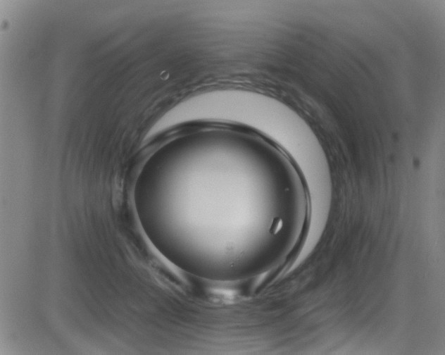 X0000083060558200702021246