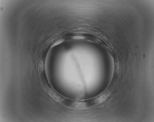 X0000083060617200702021245