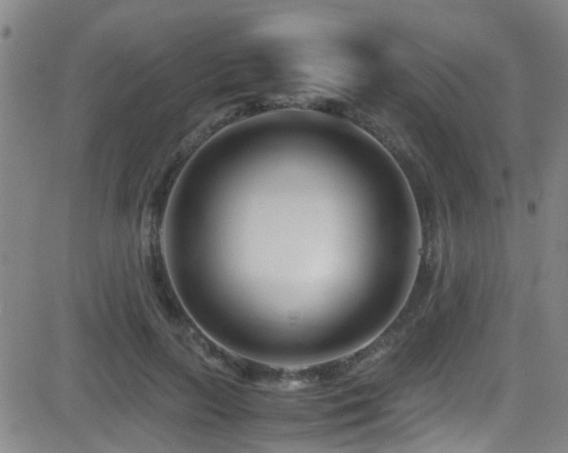 X0000083060647200702021244