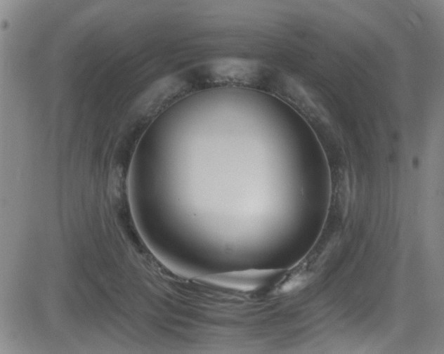 X0000083060649200702021244