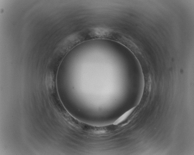 X0000083060651200702021244