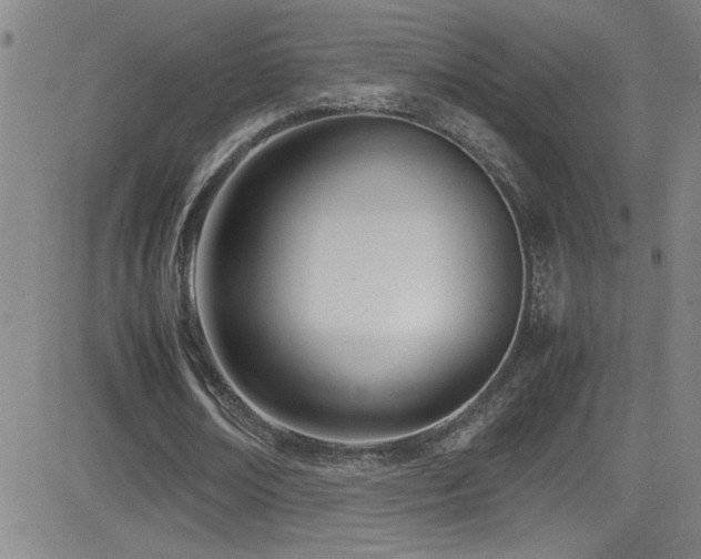 X0000083060674200702021244