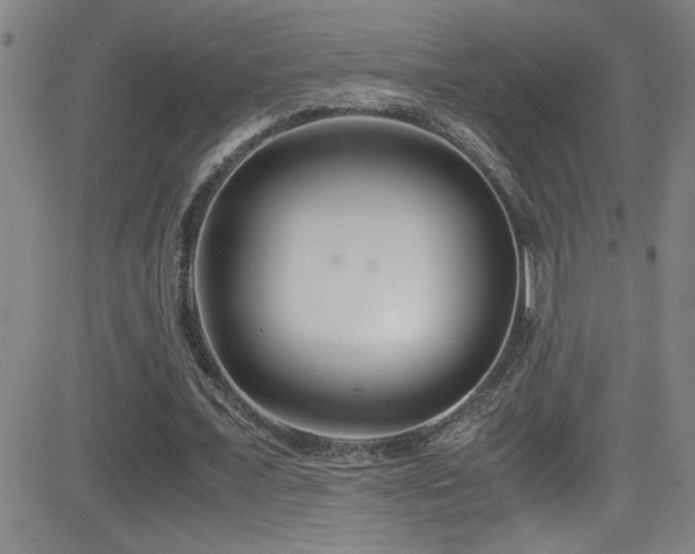 X0000083060675200702021244