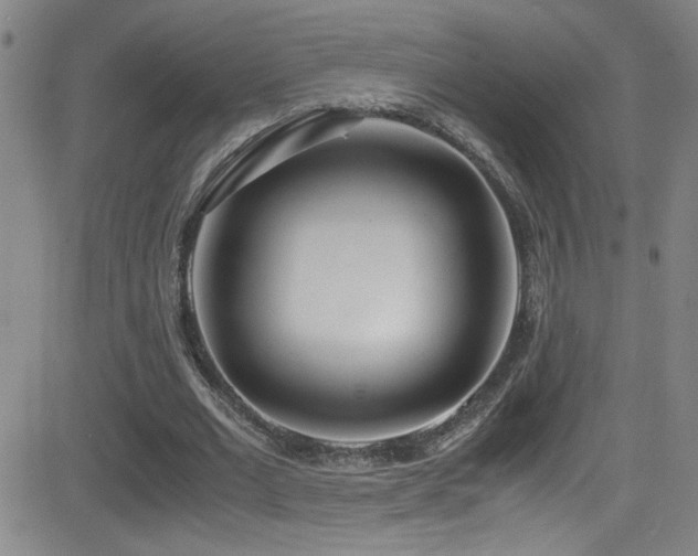 X0000083060677200702021244