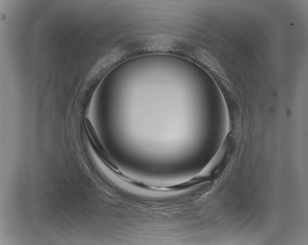 X0000083060681200702021244