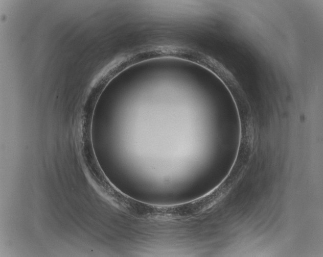 X0000083060730200702021243