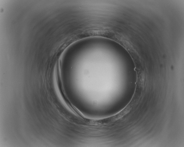 X0000083060746200702021243
