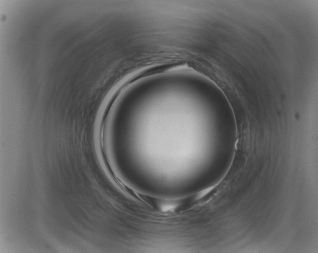 X0000083060750200702021243