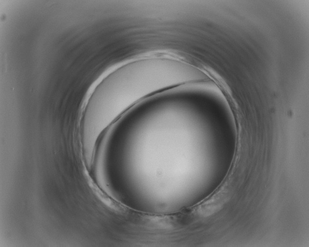 X0000083060816200702021242
