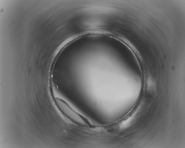 X0000083060853200702021241
