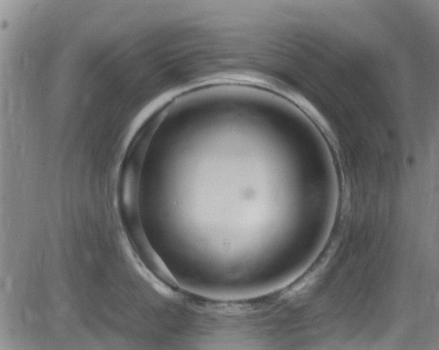 X0000083060862200702021242