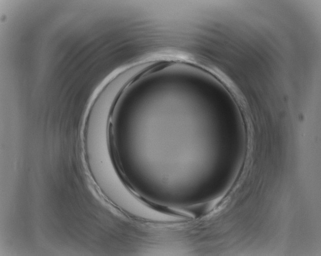 X0000083060864200702021242