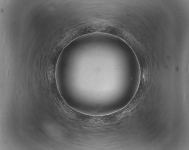 X0000083060867200702021241