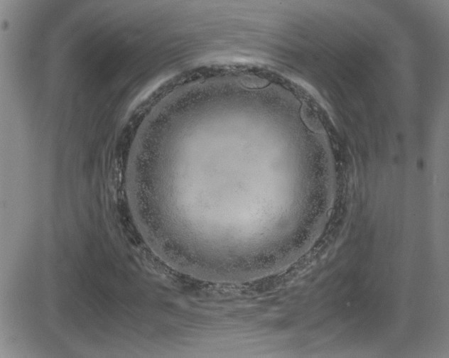 X0000083060871200702021241