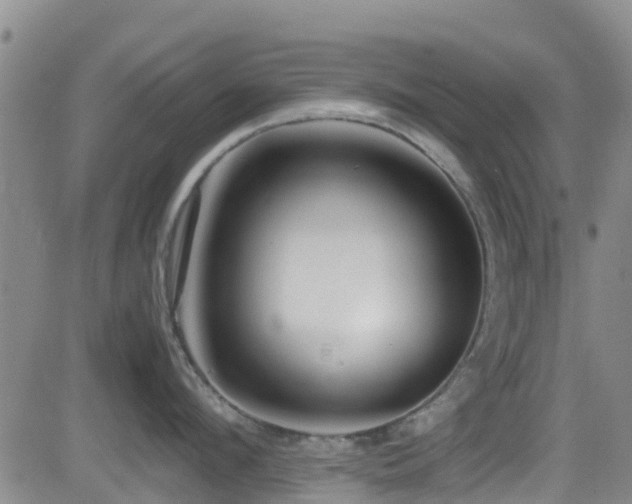X0000083060912200702021240