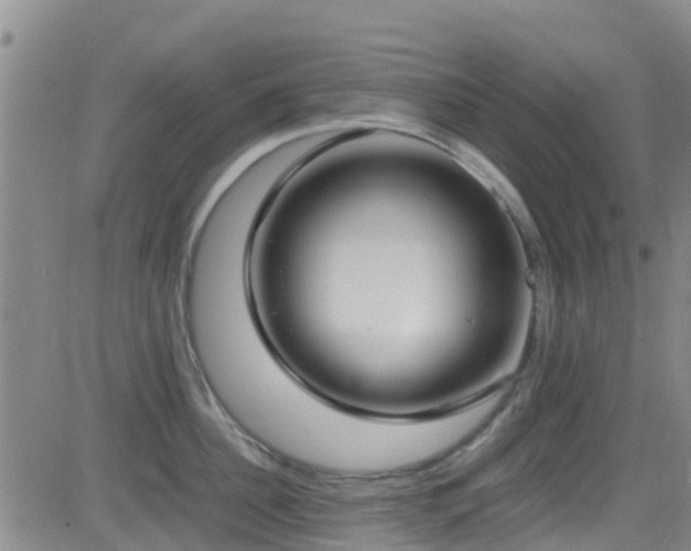 X0000083060956200702021240