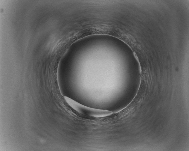 X0000083061009200702021238