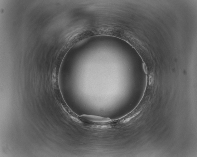 X0000083061011200702021238