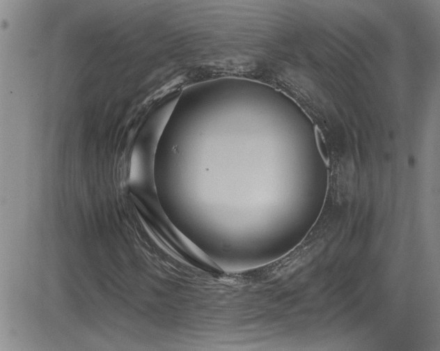 X0000083061058200702021238