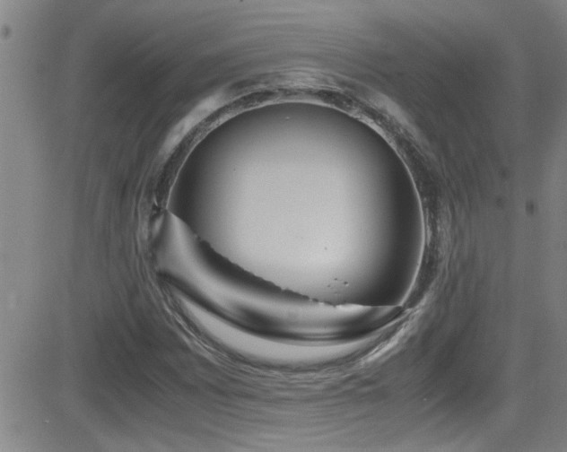 X0000083061065200702021238
