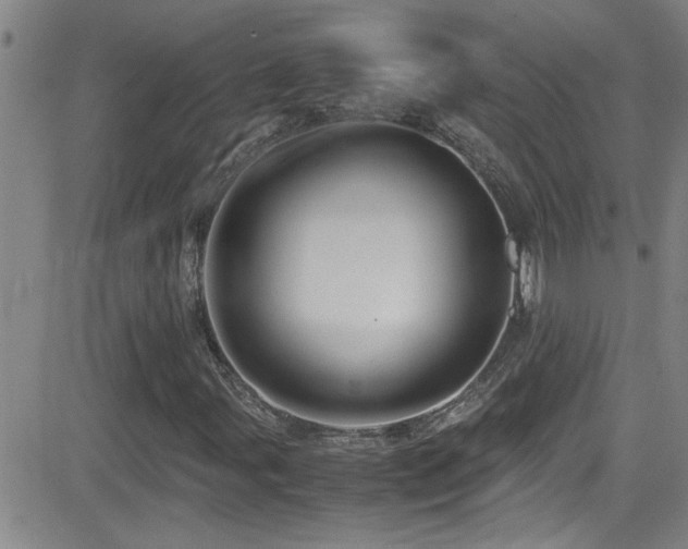 X0000083061107200702021236
