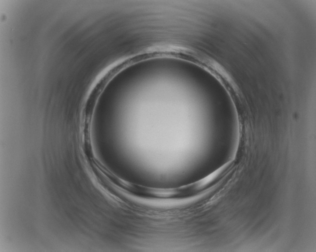 X0000083061124200702021236