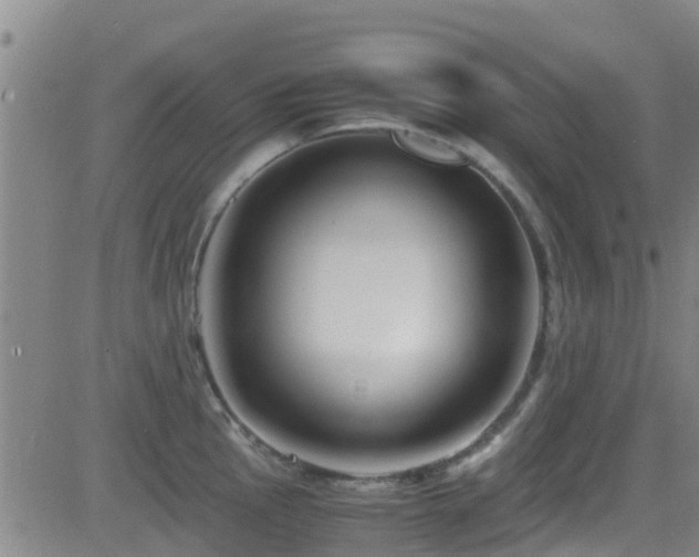 X0000083061145200702021237
