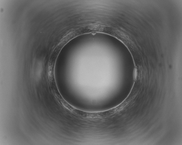 X0000083061154200702021236