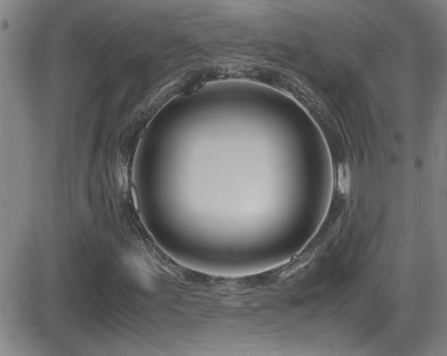 X0000083061155200702021236
