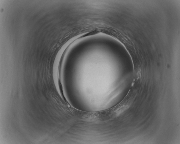 X0000083061156200702021236