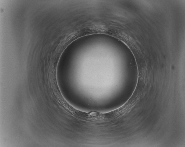X0000083061201200702021235