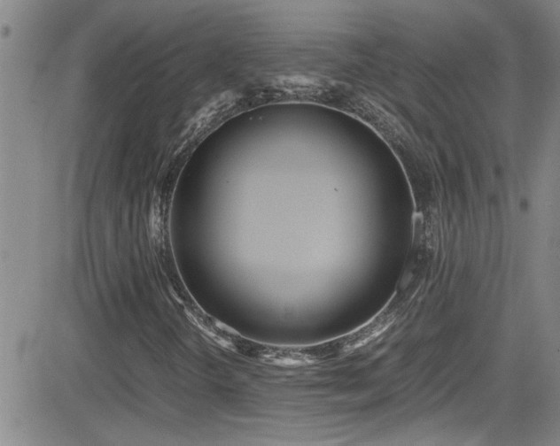 X0000083061298200702021233