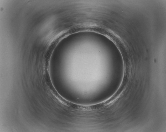 X0000083061306200702021233