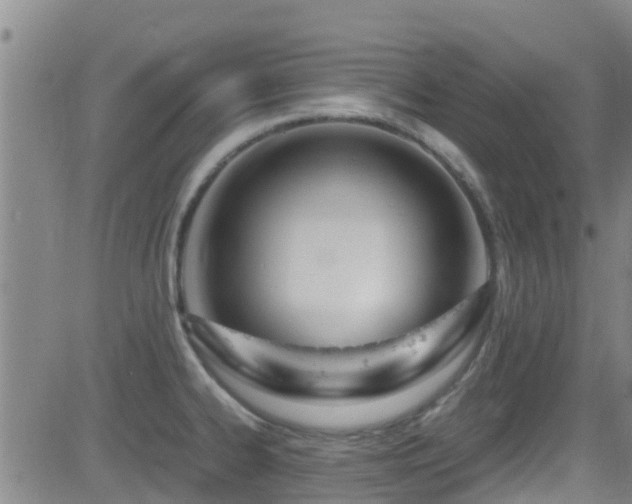 X0000083061334200702021234