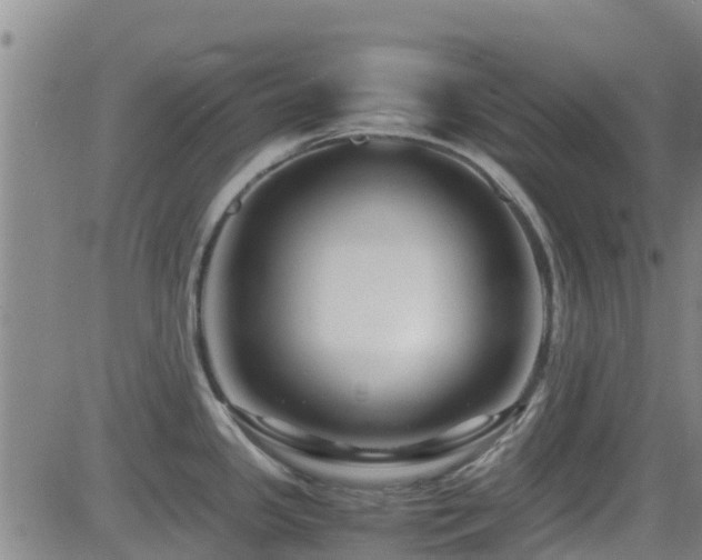 X0000083061341200702021234