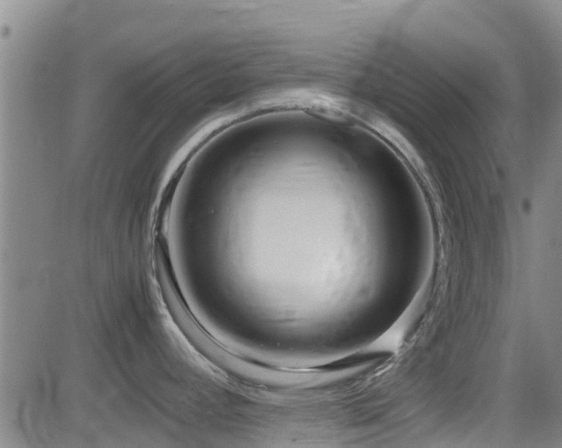 X0000083061392200702021232