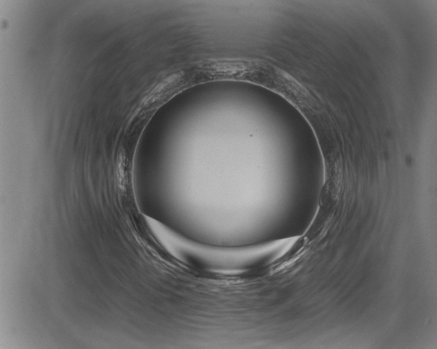 X0000083061394200702021231