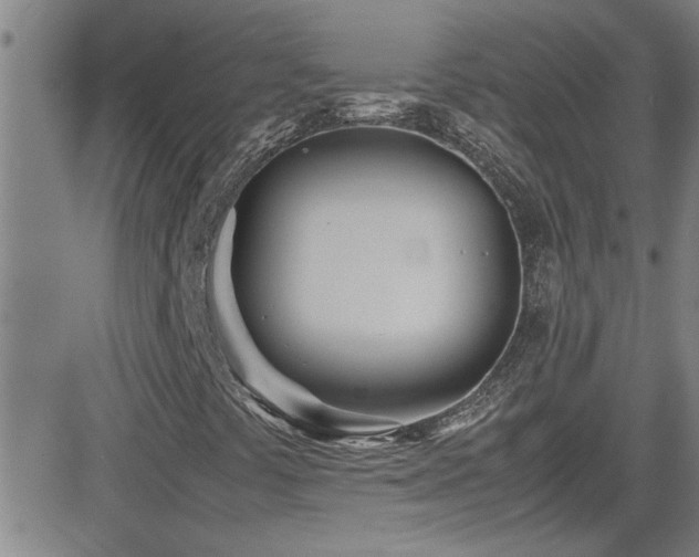 X0000083061441200702021231