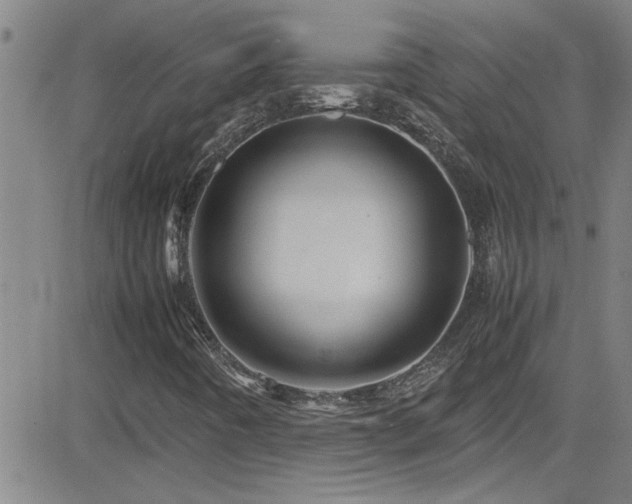 X0000083061442200702021231