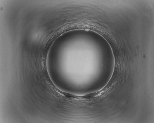 X0000083061490200702021230