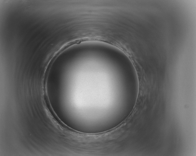 X0000083060002200702091516